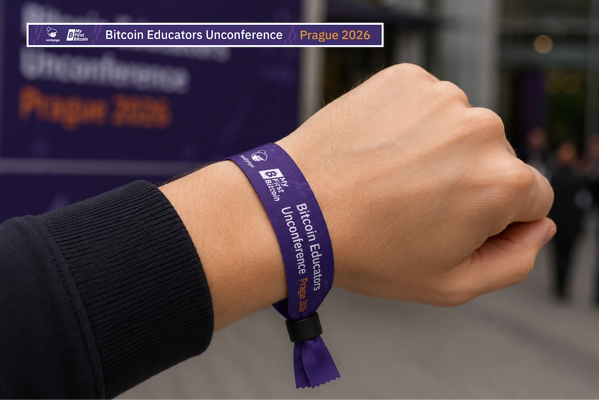 Bitcoin Wristband